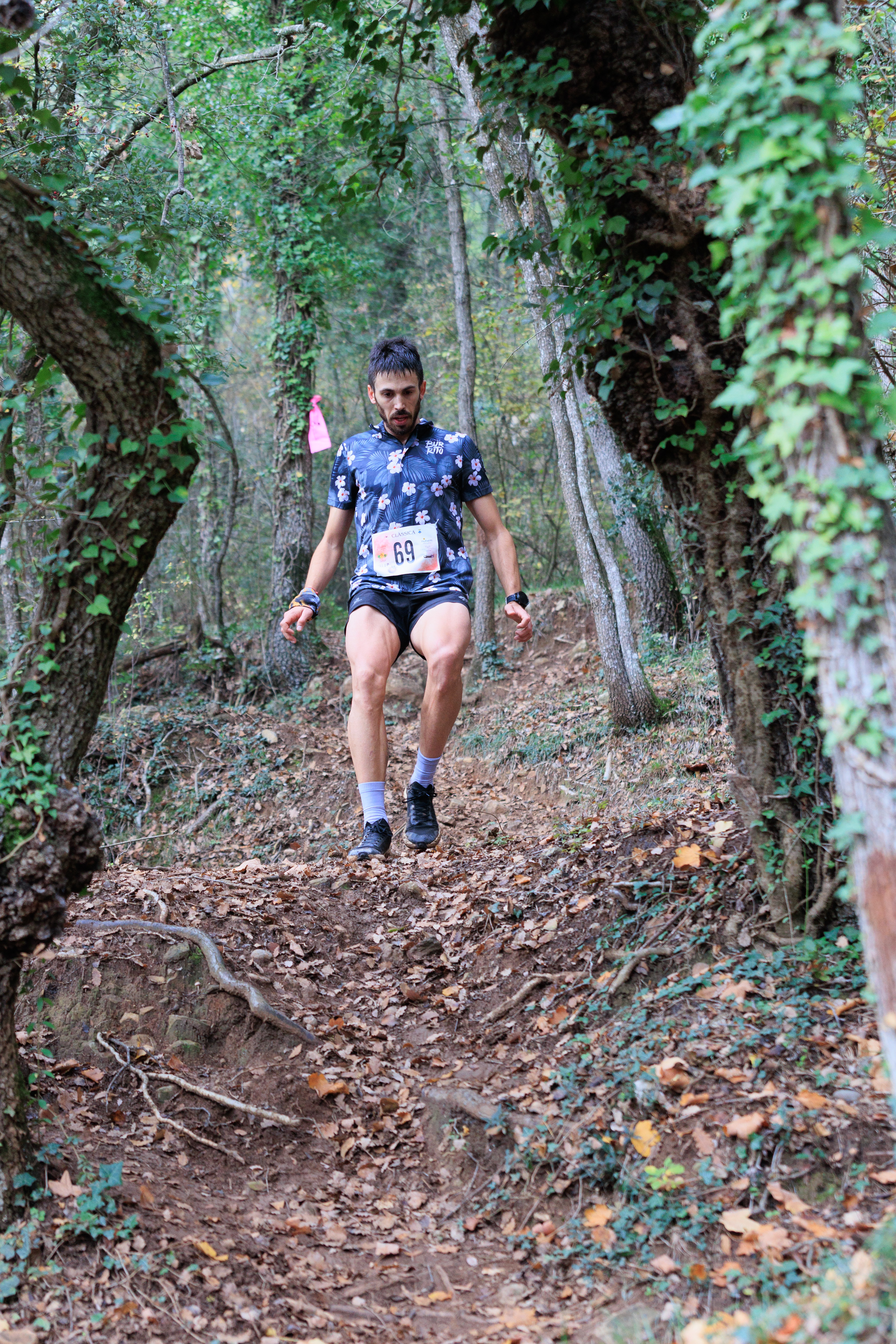 Al bosc